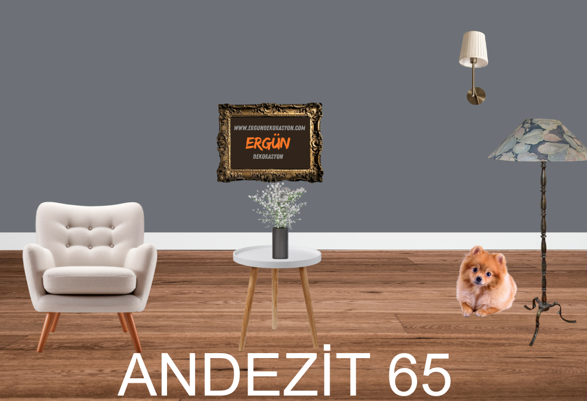 ANDEZİT 65