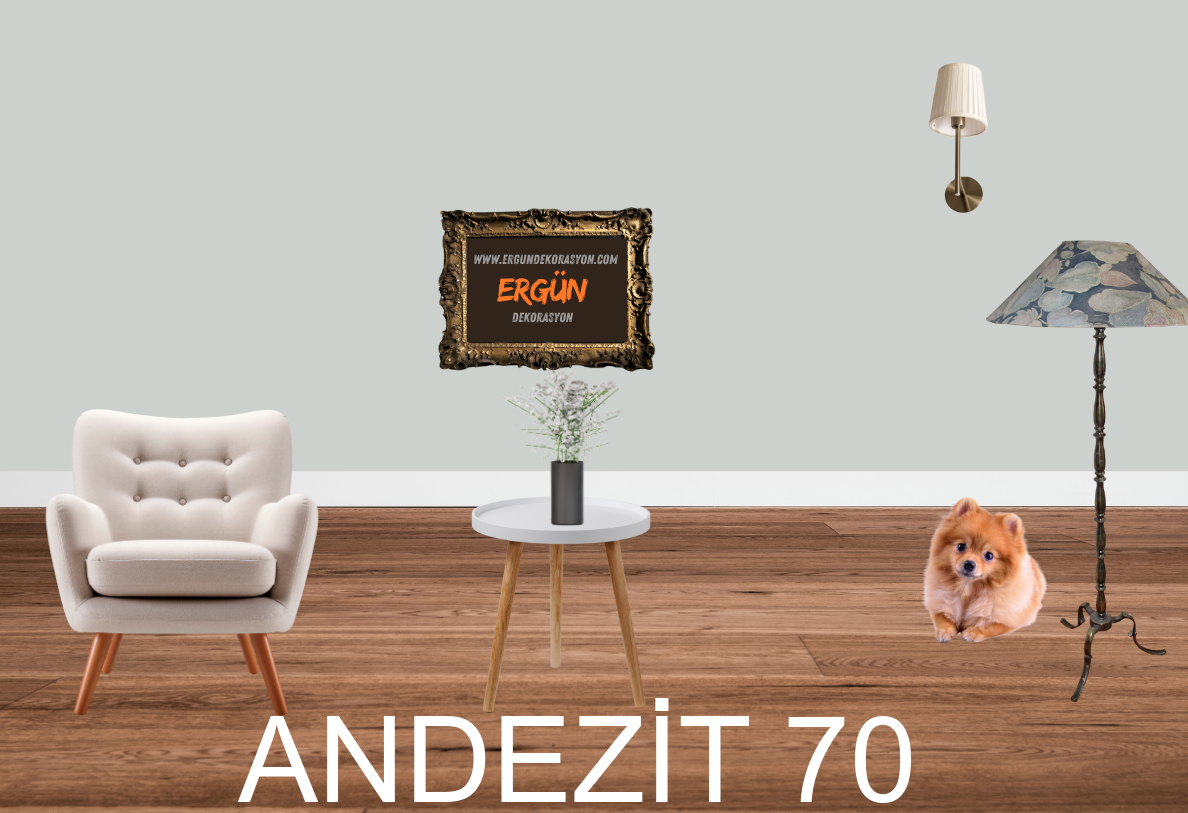 ANDEZİT 70