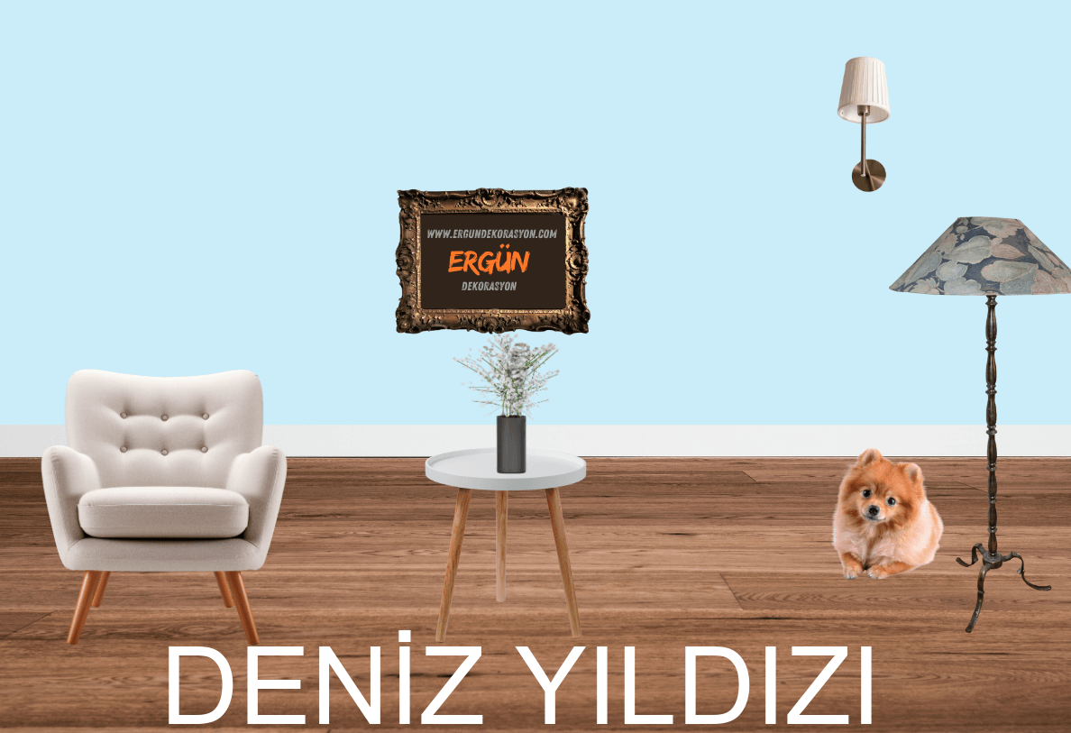 DENİZ YILDIZI