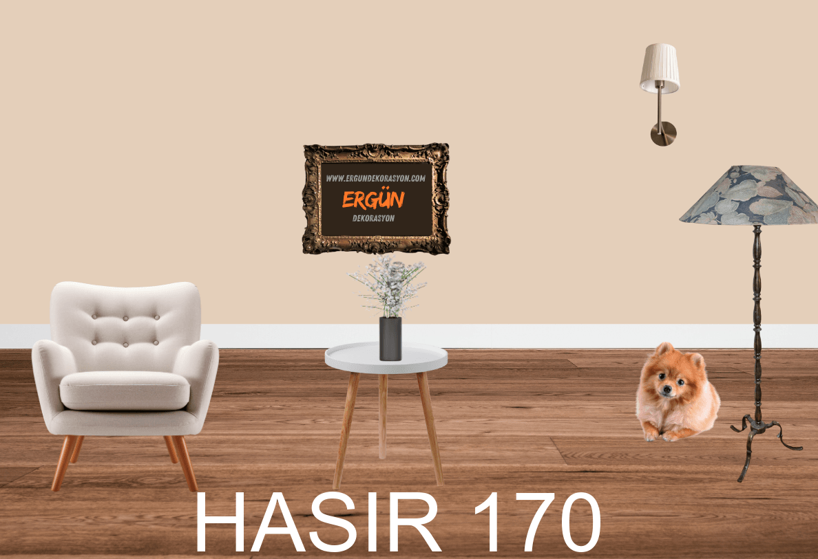 HASIR 170