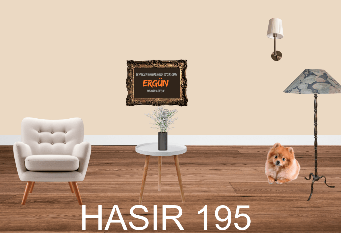 HASIR 195
