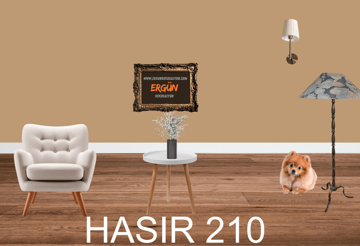 HASIR 210