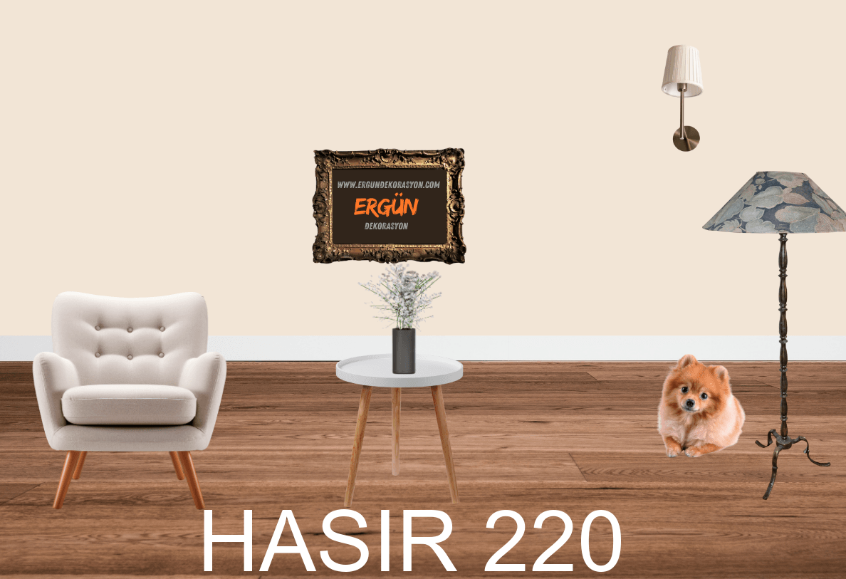 HASIR 220