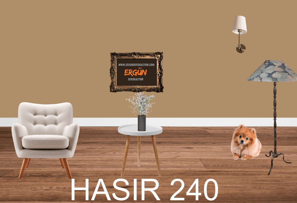HASIR 240