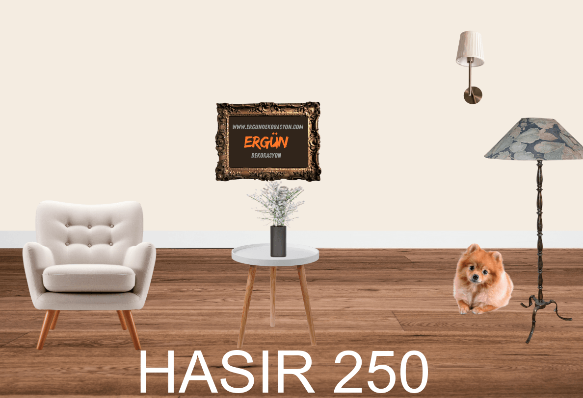 HASIR 250