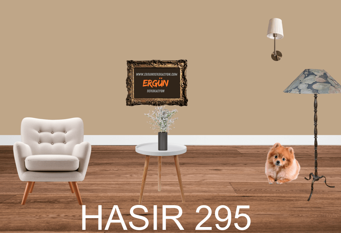 HASIR 295
