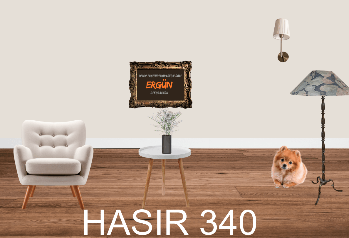 HASIR 340