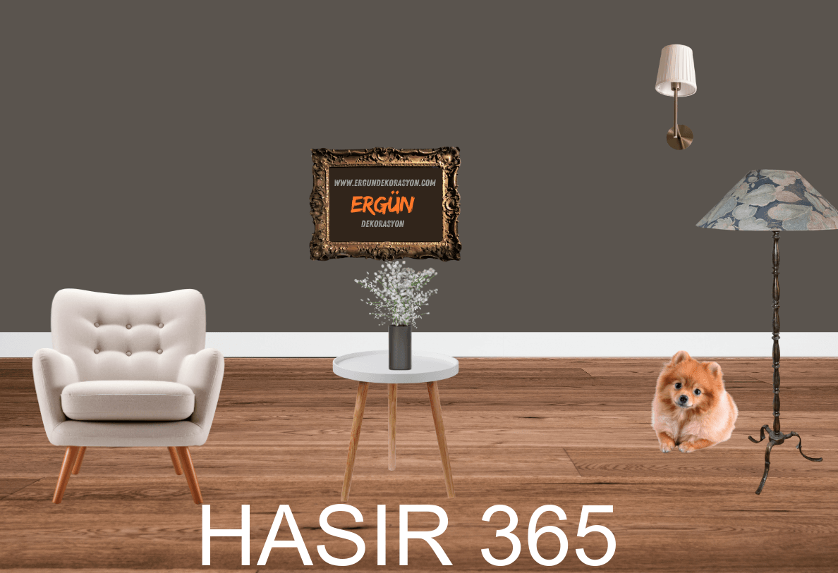 HASIR 365
