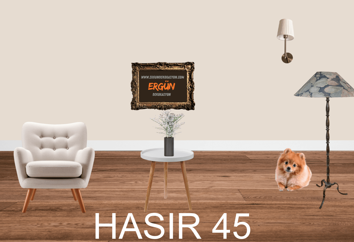 HASIR 45