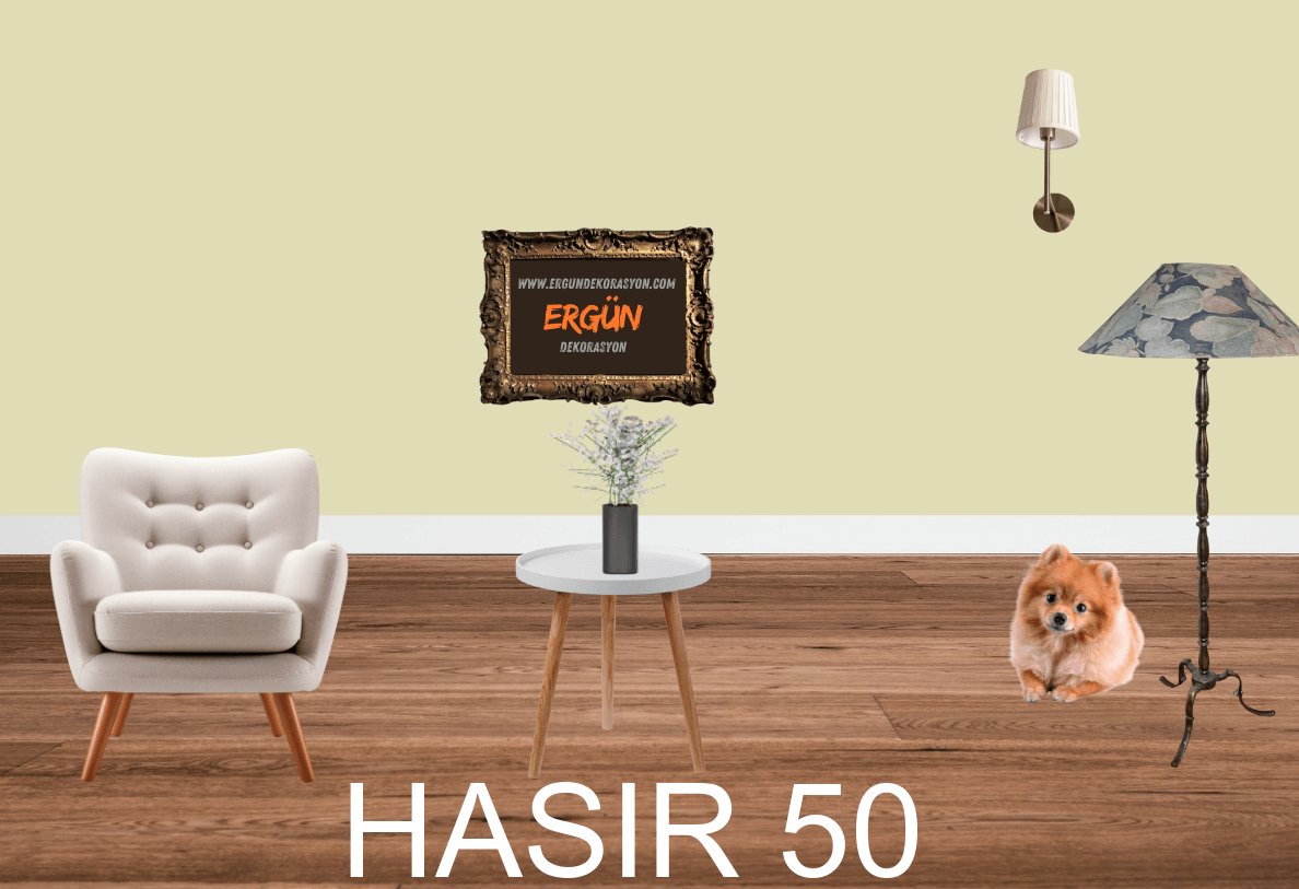 HASIR 50