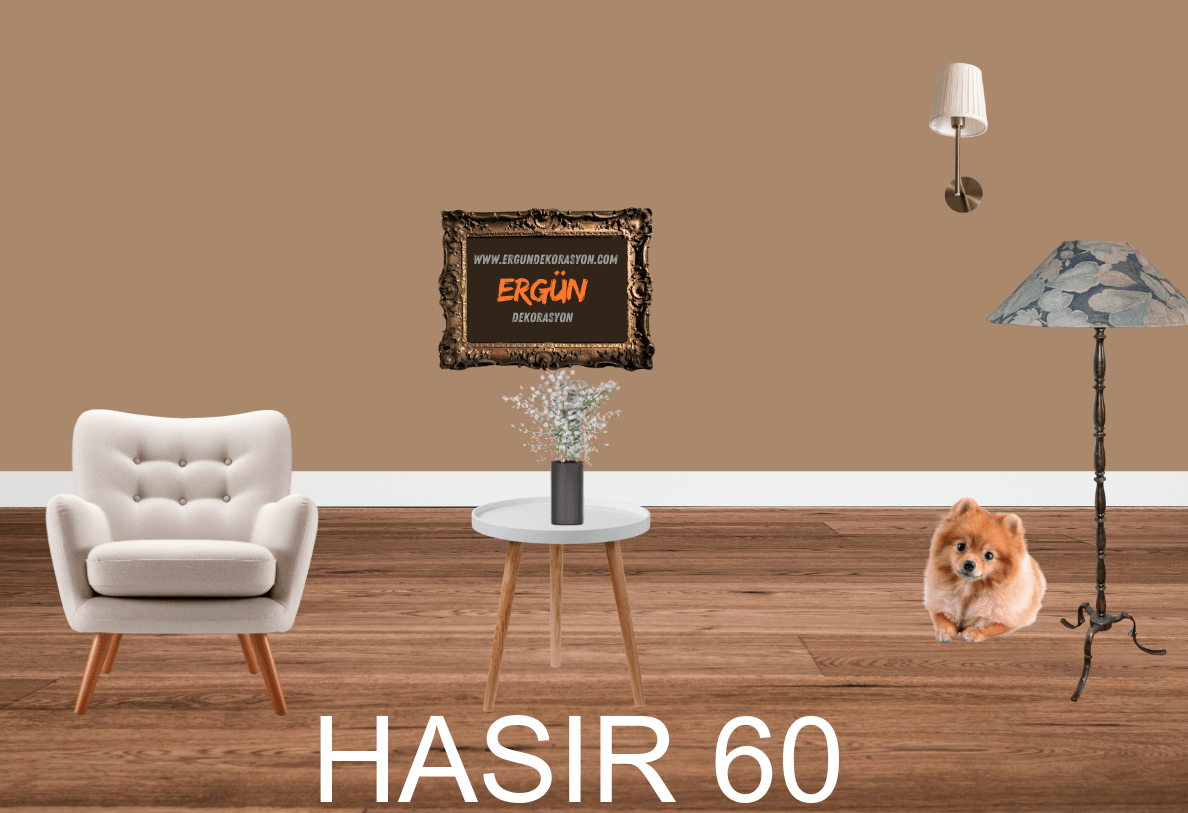 HASIR 60