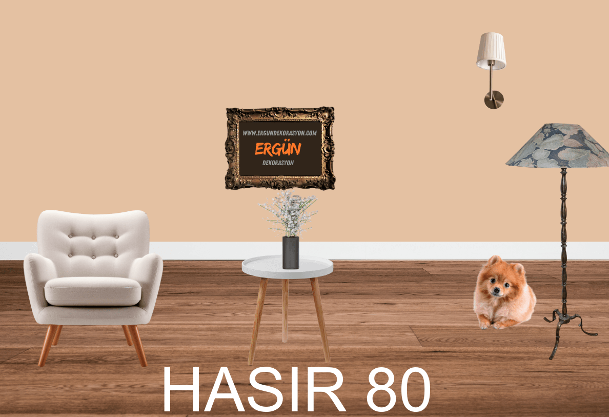 HASIR 80