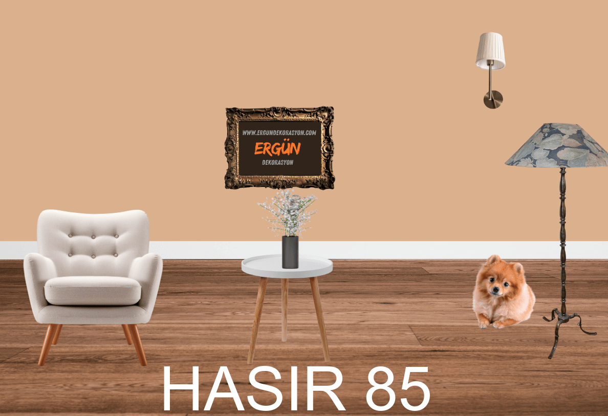 HASIR 85