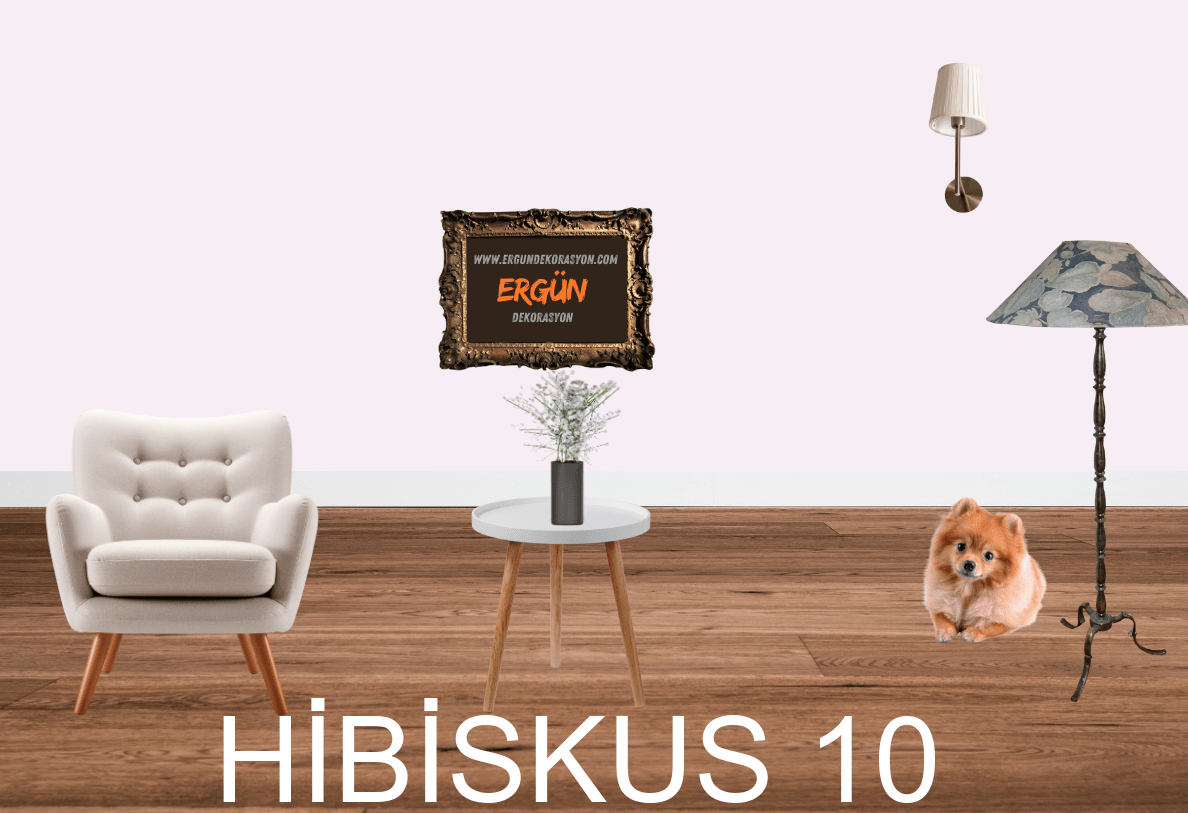 HİBİSKUS 10