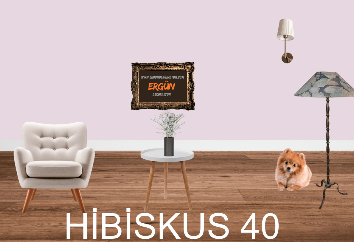 HİBİSKUS 40
