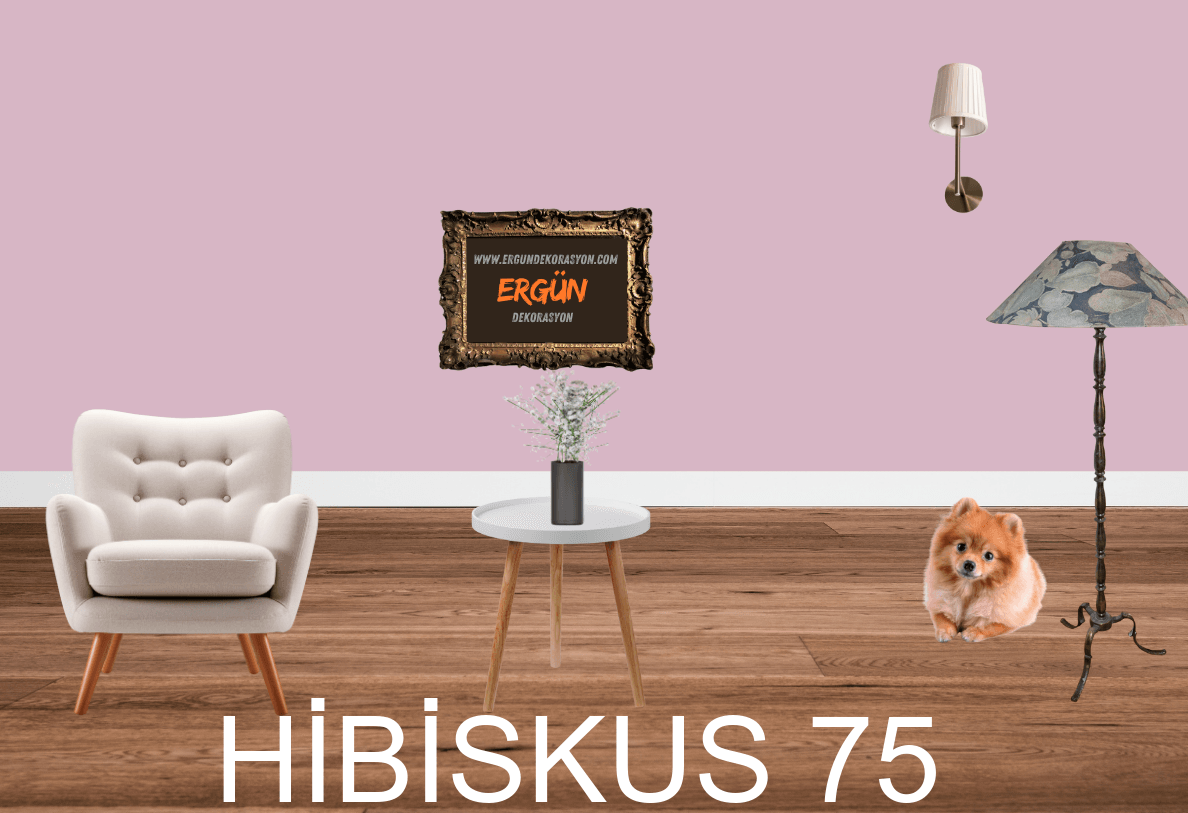 HİBİSKUS 75