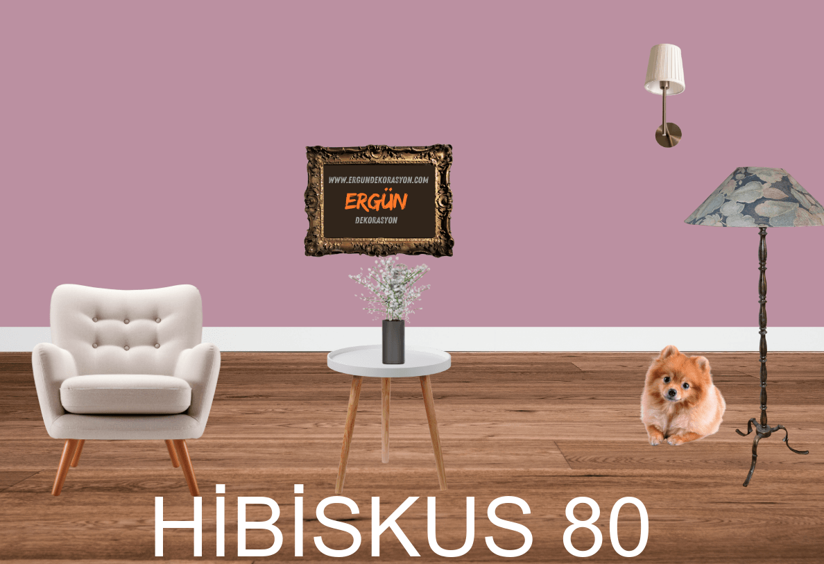 HİBİSKUS 80