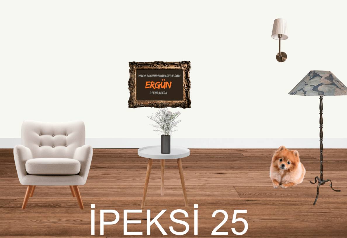 İPEKSİ 25