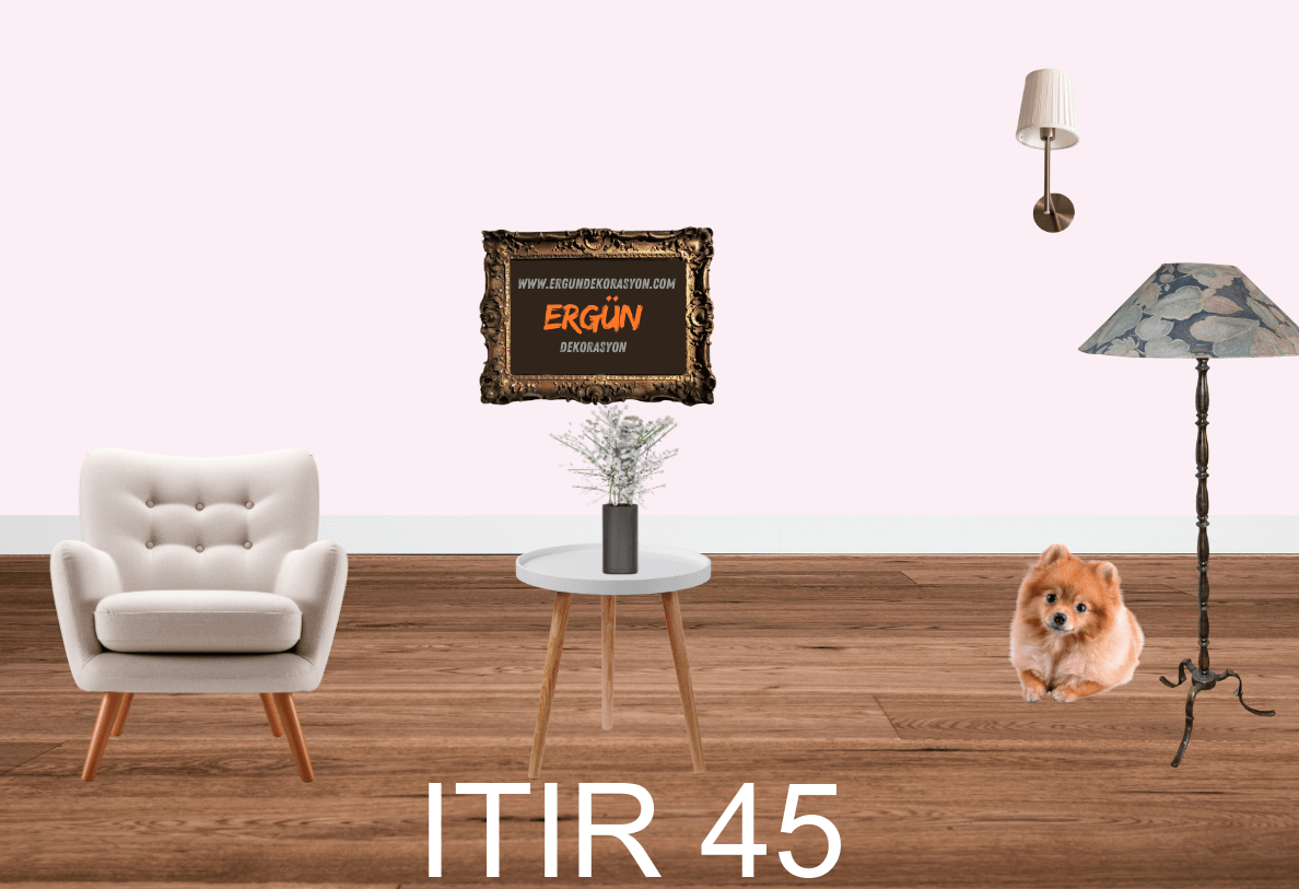 ITIR 45