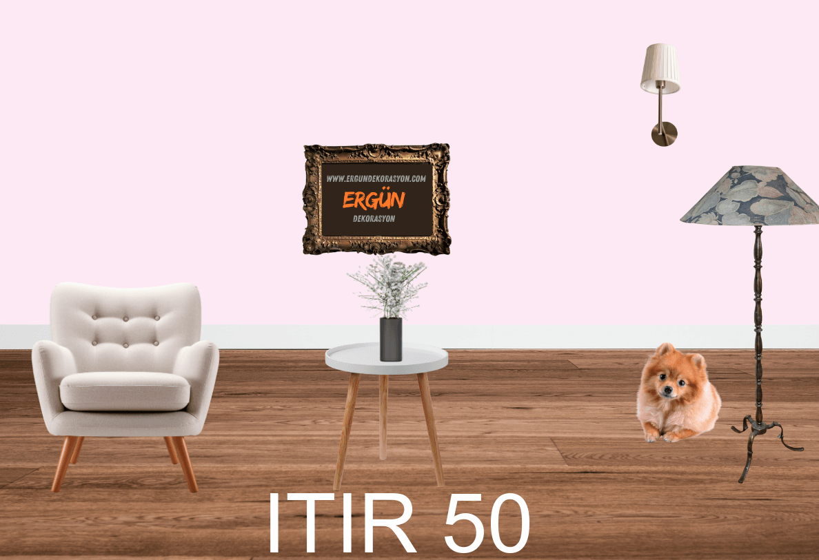 ITIR 50