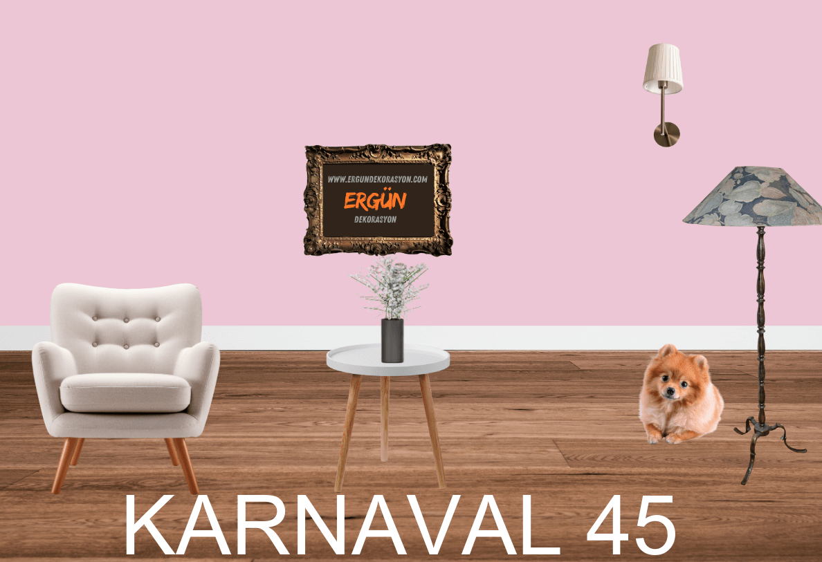 KARNAVAL 45