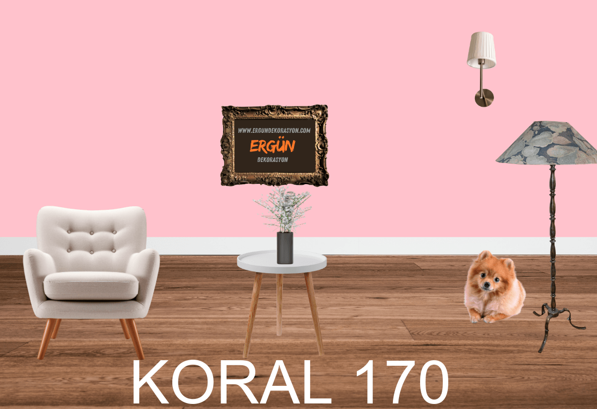 KORAL 170