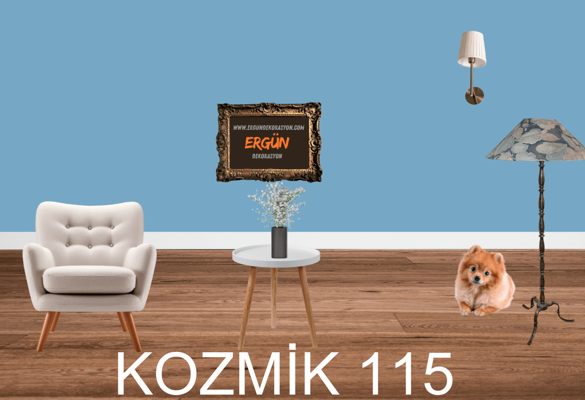 KOZMİK 115