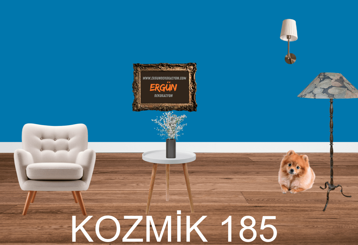 KOZMİK 185