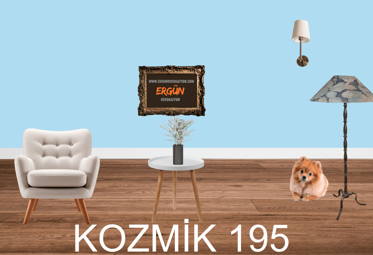 KOZMİK 195