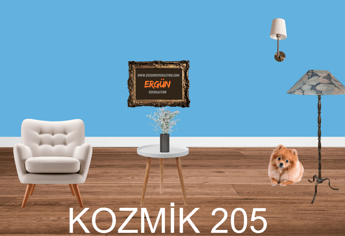 KOZMİK 205