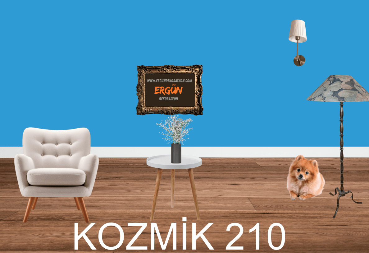KOZMİK 210