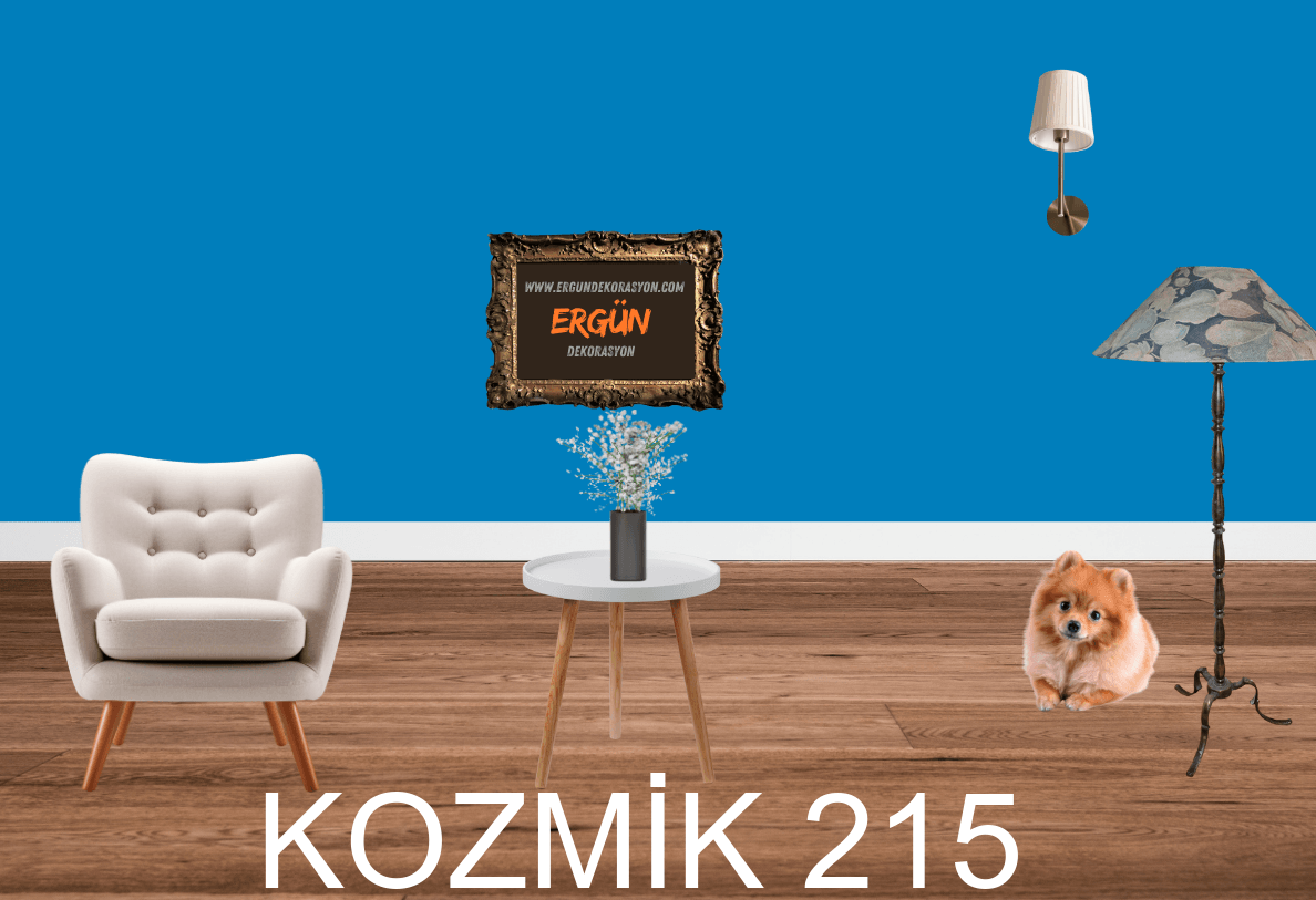KOZMİK 215