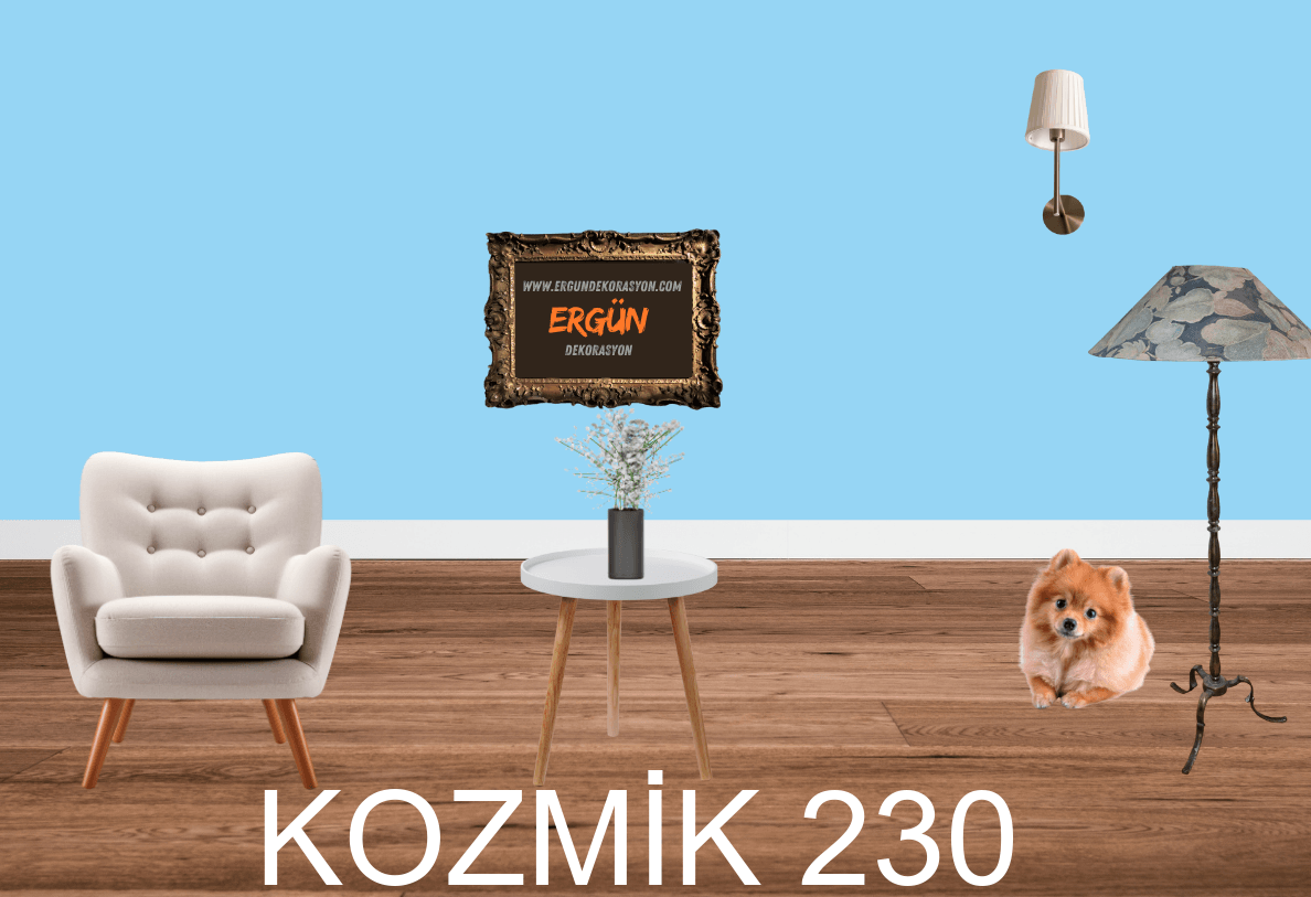 KOZMİK 230