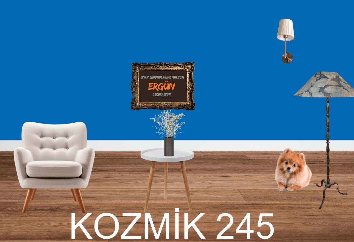 KOZMİK 245