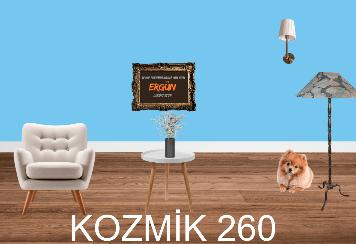 KOZMİK 260