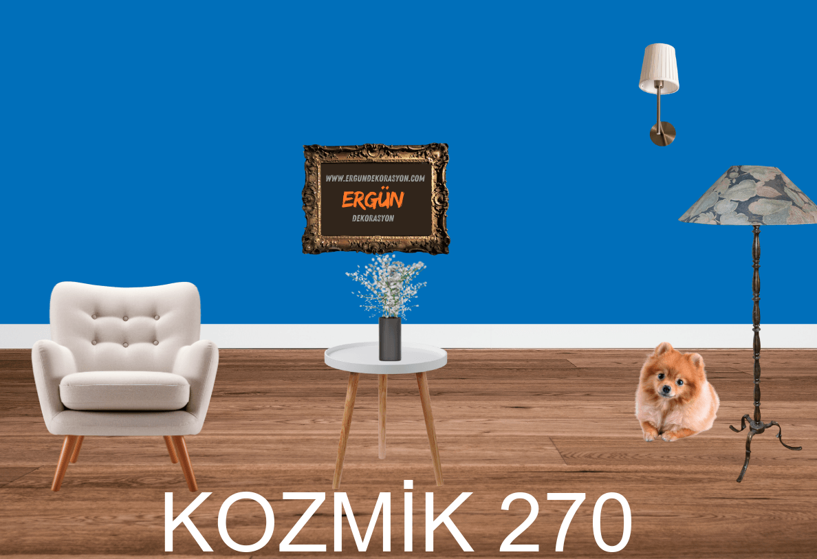 KOZMİK 270