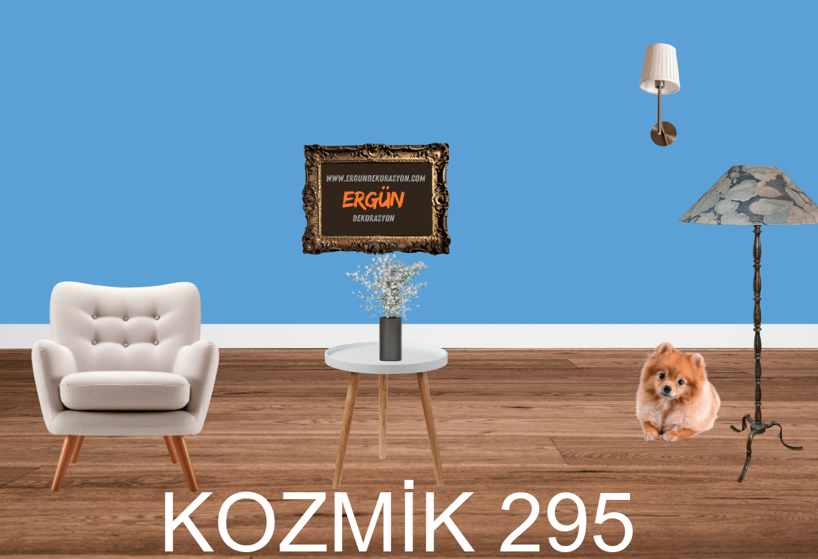 KOZMİK 295