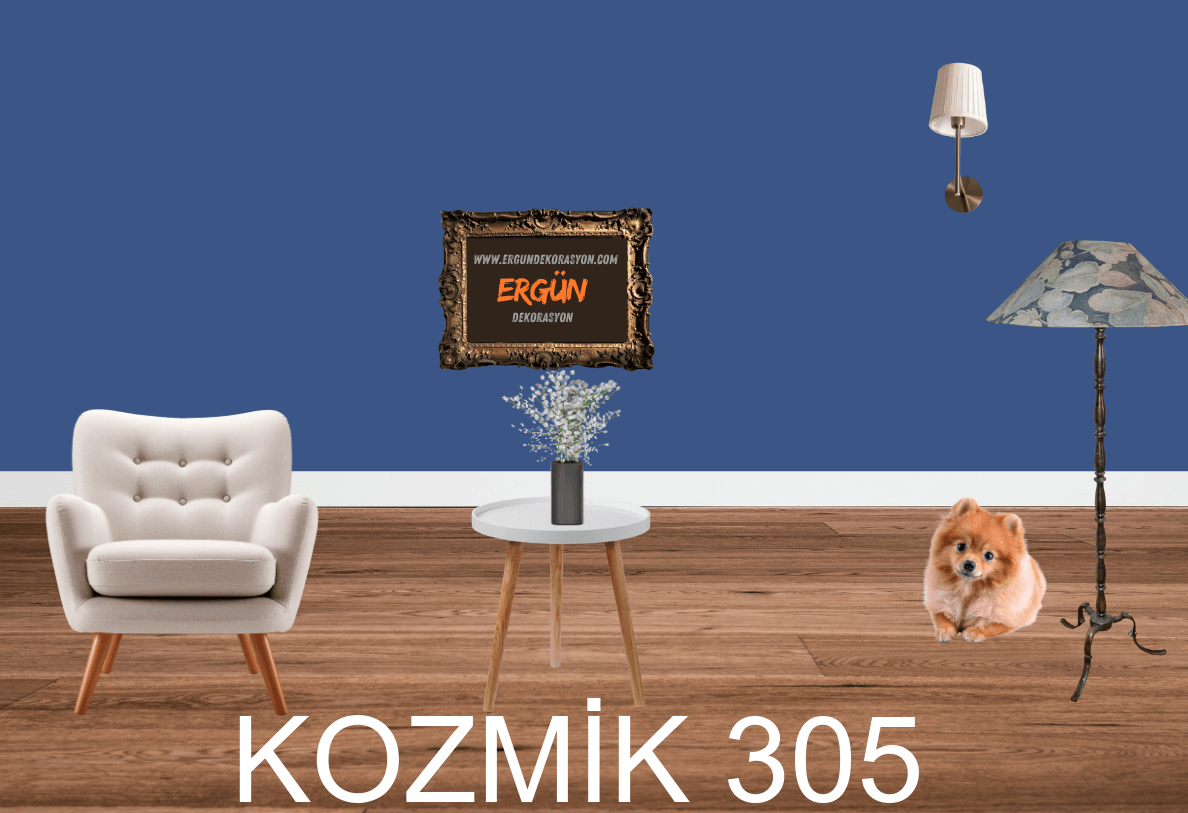 KOZMİK 305
