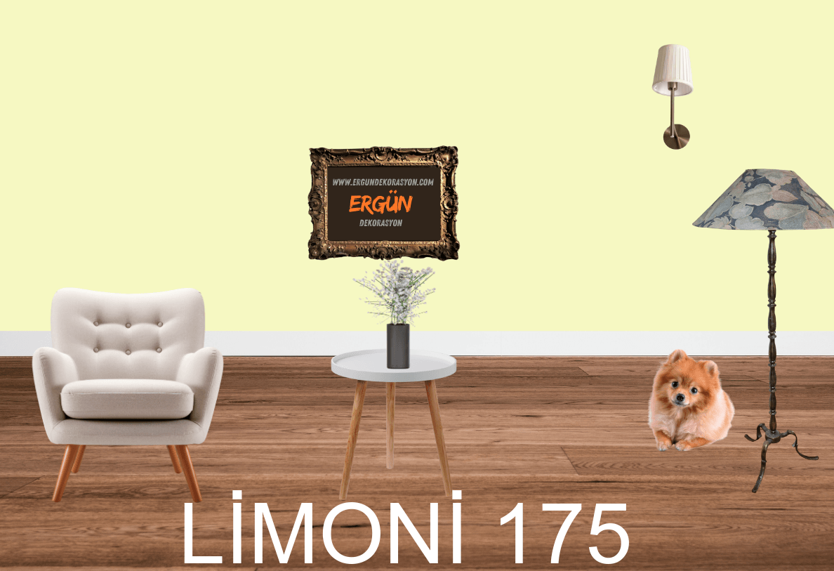 LİMONİ 175