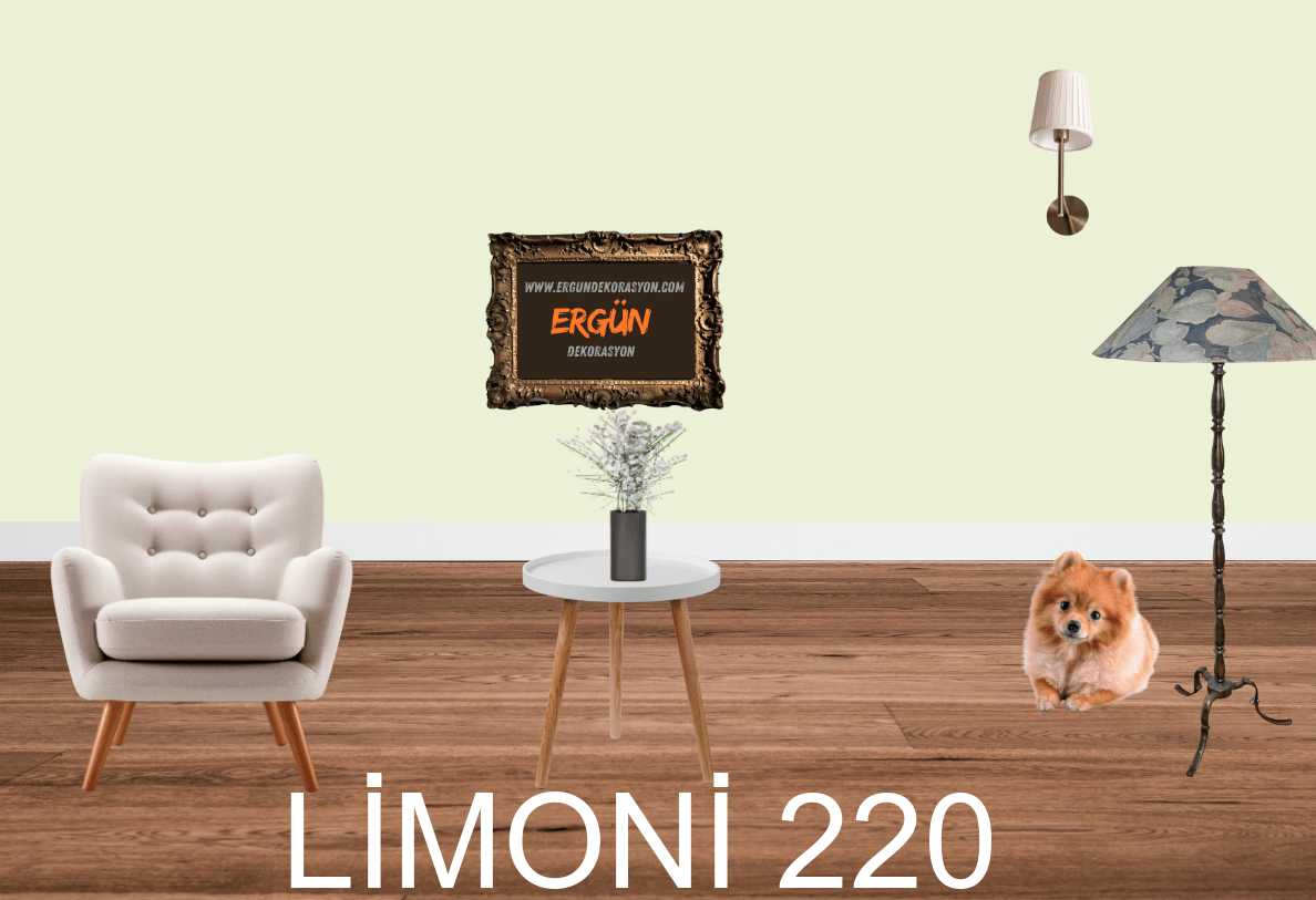 LİMONİ 220