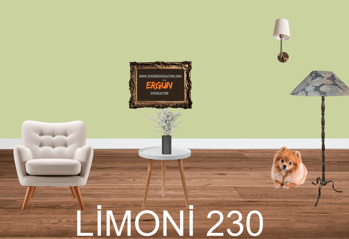 LİMONİ 230
