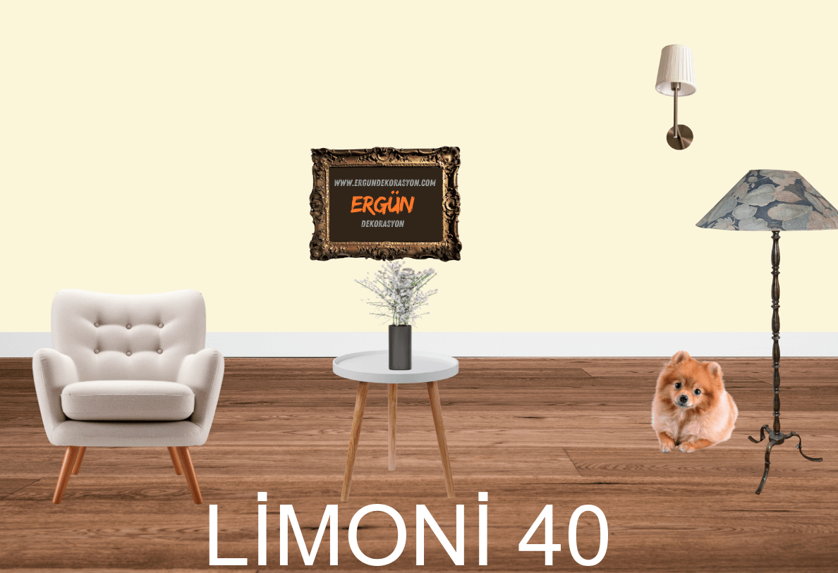 LİMONİ 40