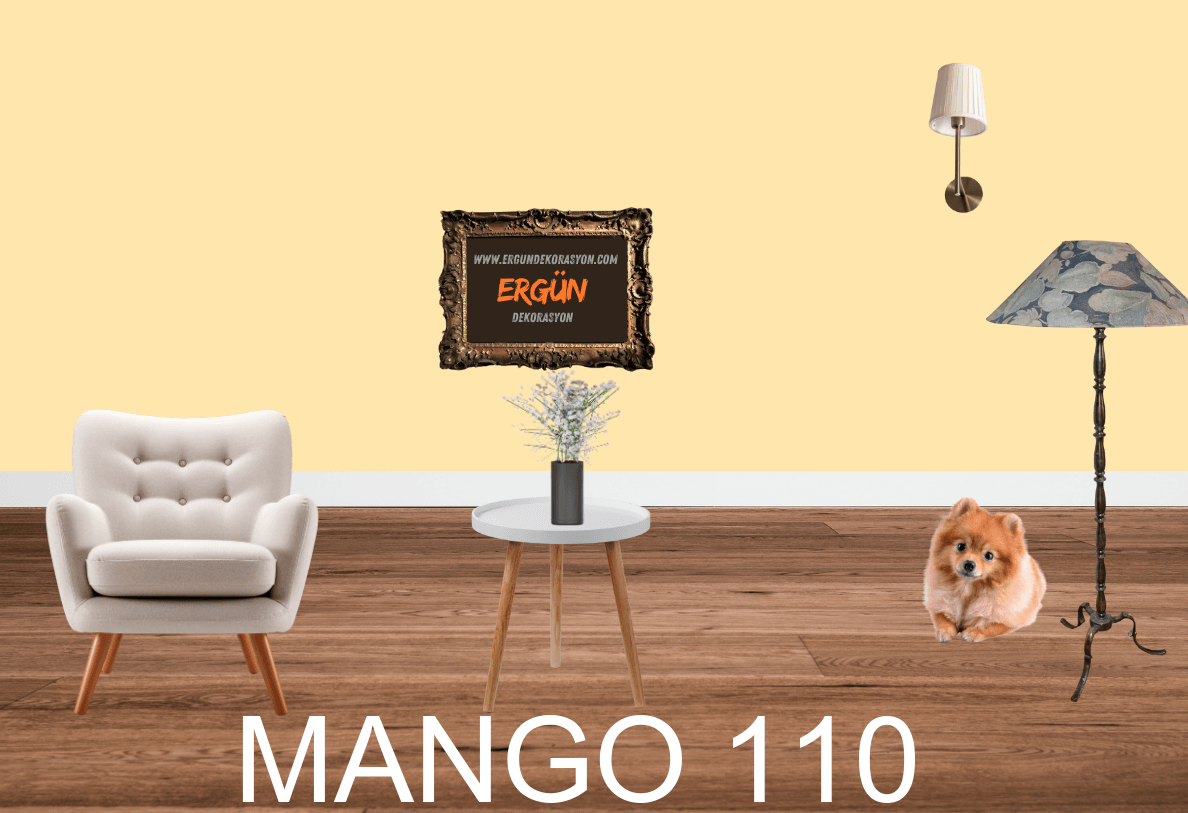 MANGO 110