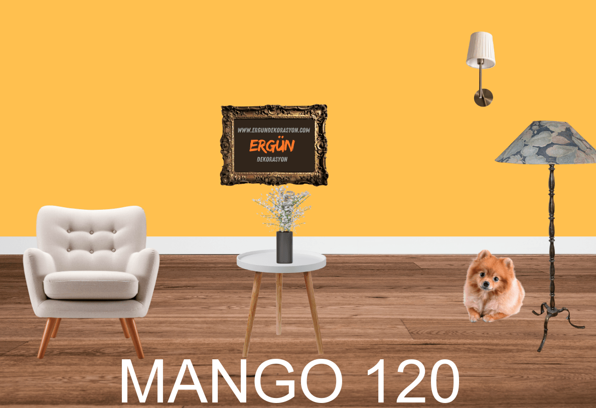 MANGO 120