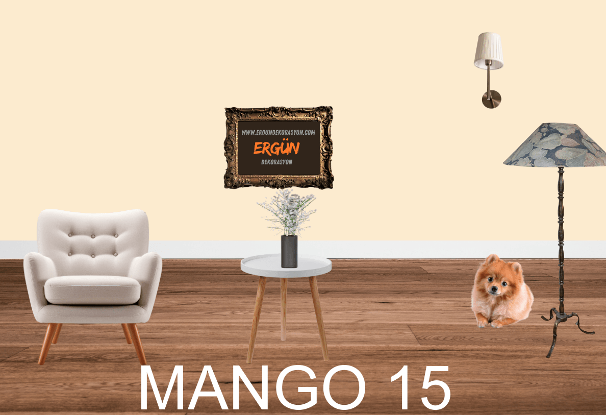 MANGO 15
