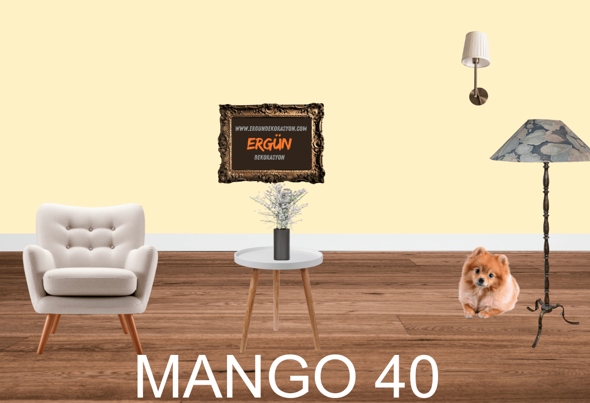 MANGO 40