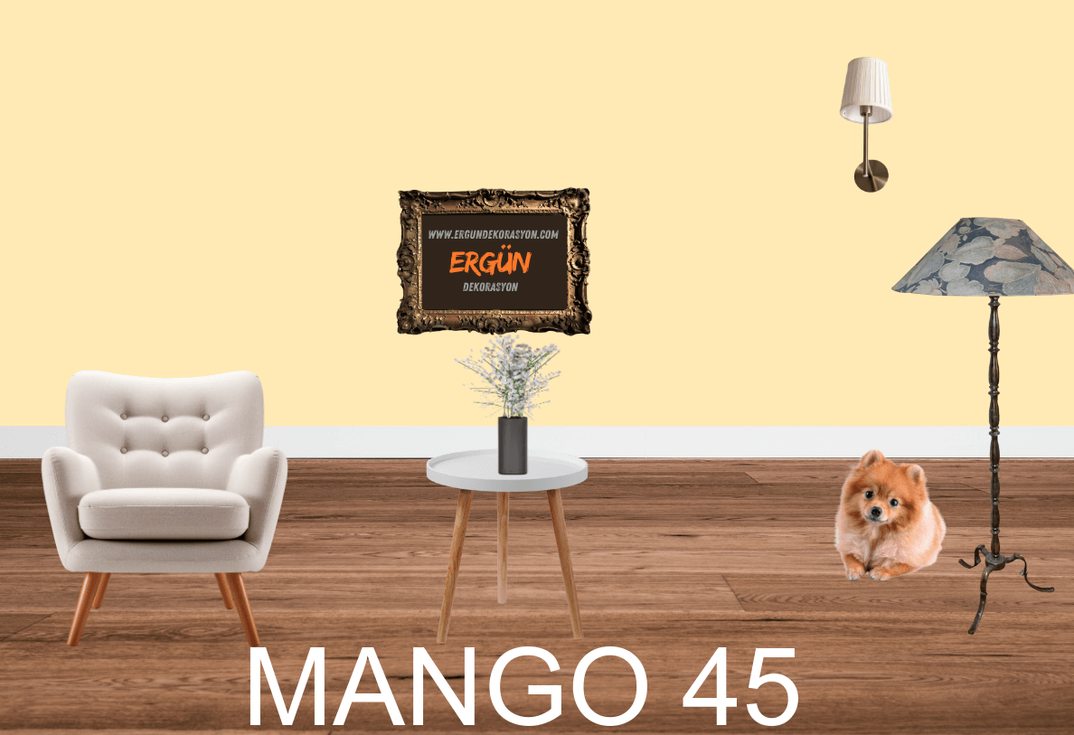 MANGO 45