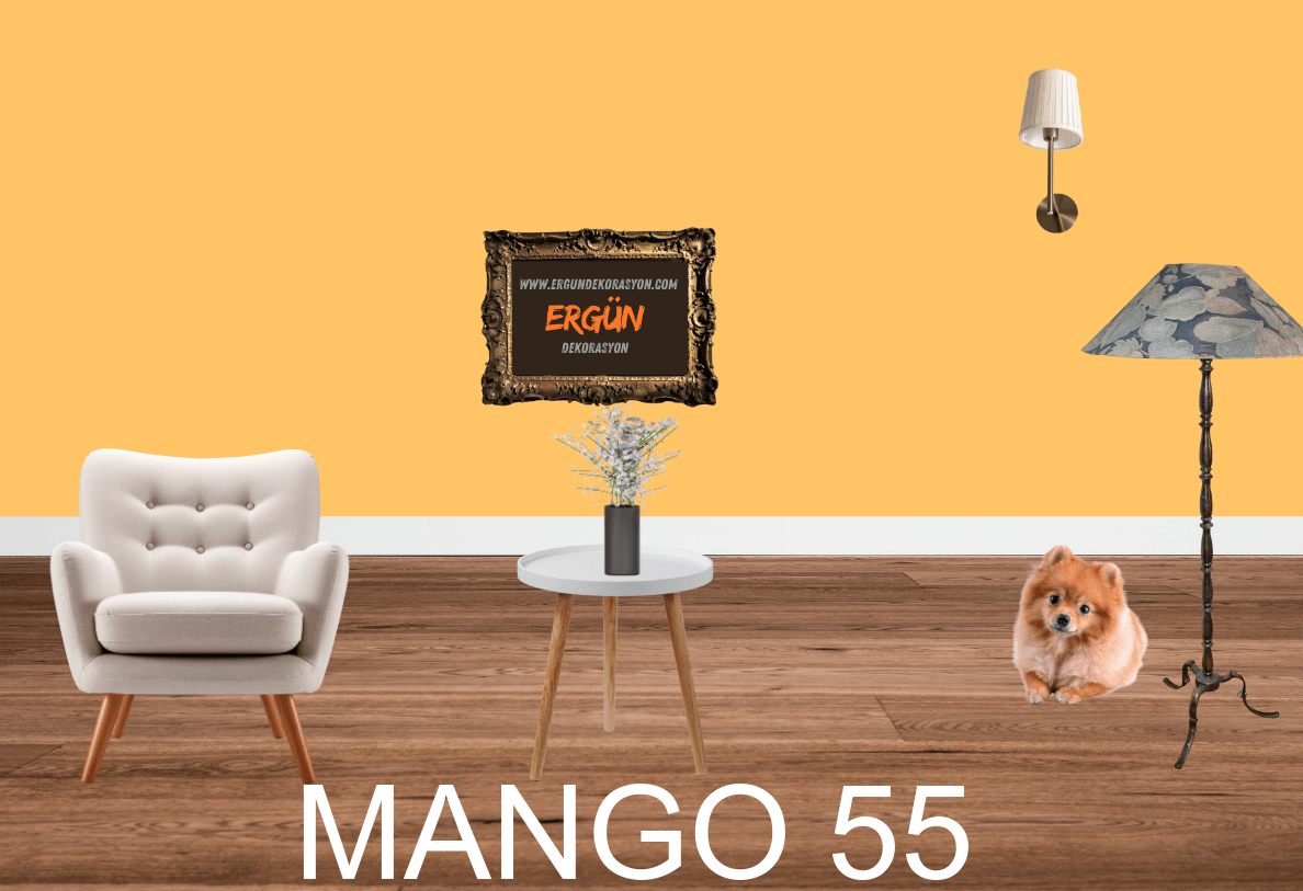MANGO 55