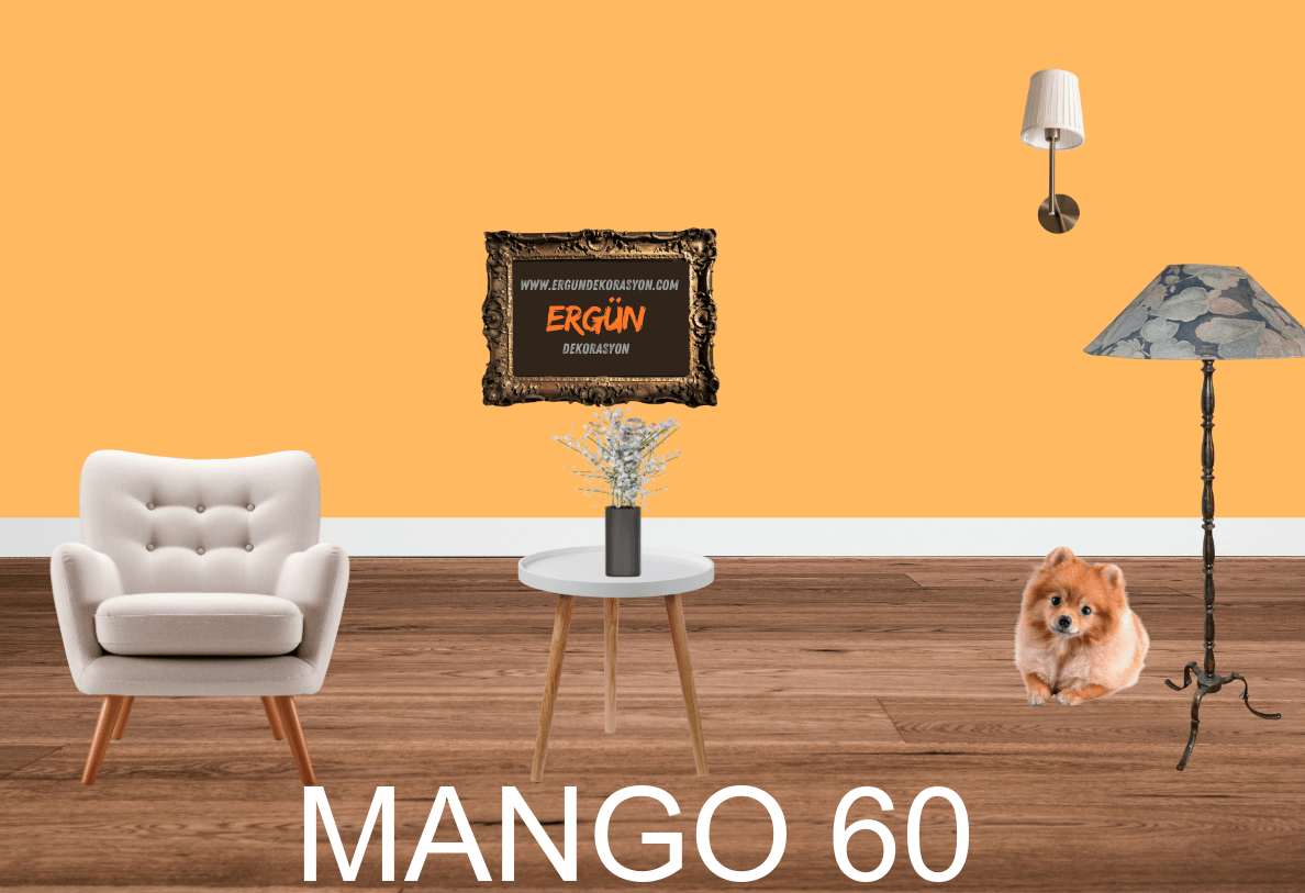 MANGO 60