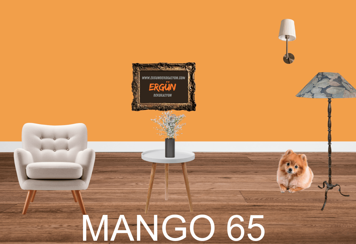 MANGO 65